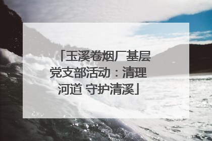 玉溪卷烟厂基层党支部活动：清理河道 守护清溪