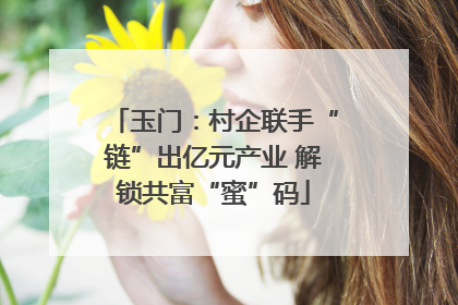 玉门：村企联手“链”出亿元产业 解锁共富“蜜”码