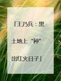 王乃兵：黑土地上“种”出红火日子