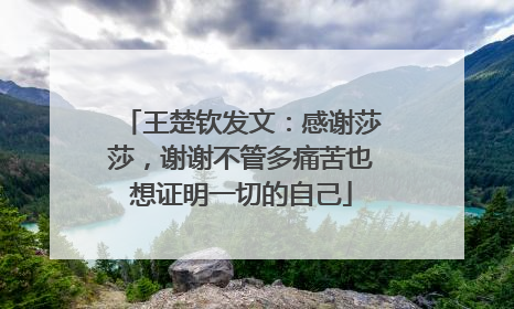 王楚钦发文：感谢莎莎，谢谢不管多痛苦也想证明一切的自己