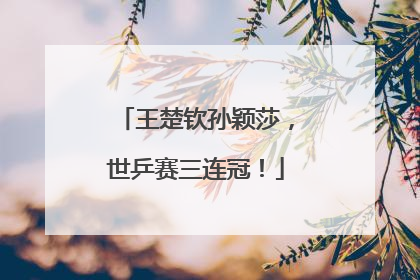 王楚钦孙颖莎，世乒赛三连冠！