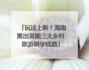 玩法上新！海南推出暑期三大乡村旅游研学线路