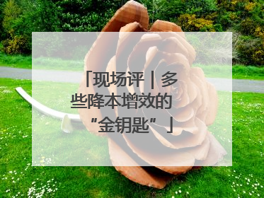 现场评｜多些降本增效的“金钥匙”