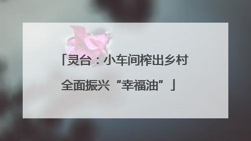 灵台：小车间榨出乡村全面振兴“幸福油”