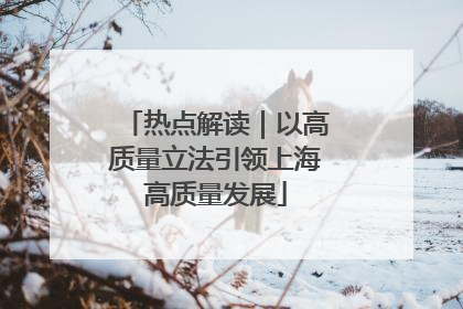 热点解读｜以高质量立法引领上海高质量发展
