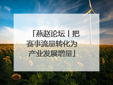 燕赵论坛丨把赛事流量转化为产业发展增量