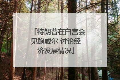 特朗普在白宫会见鲍威尔 讨论经济发展情况