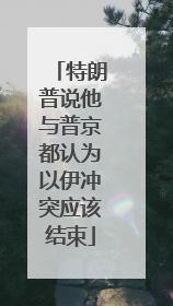 特朗普说他与普京都认为以伊冲突应该结束
