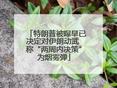 特朗普被曝早已决定对伊朗动武 称“两周内决策”为烟雾弹