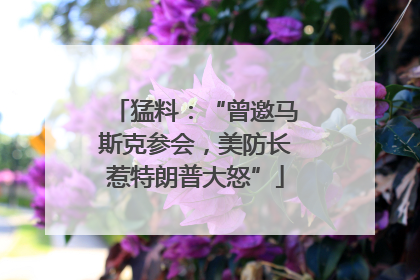 猛料：“曾邀马斯克参会，美防长惹特朗普大怒”