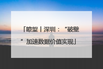 瞭望丨深圳：“破壁”加速数据价值实现