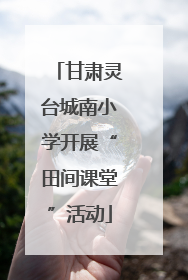 甘肃灵台城南小学开展“田间课堂”活动