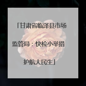 甘肃省临泽县市场监管局：快检小举措 护航大民生