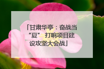 甘肃华亭：奋战当“夏” 打响项目建设攻坚大会战