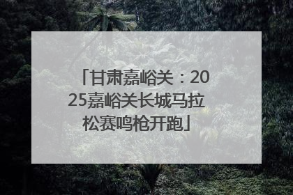 甘肃嘉峪关：2025嘉峪关长城马拉松赛鸣枪开跑