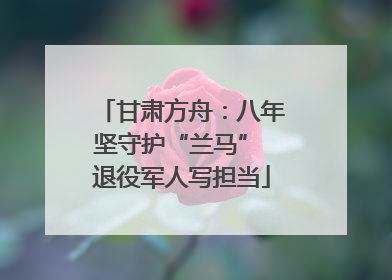 甘肃方舟：八年坚守护“兰马” 退役军人写担当