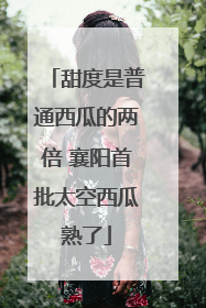 甜度是普通西瓜的两倍 襄阳首批太空西瓜熟了