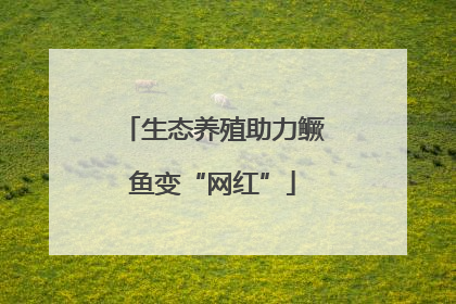 生态养殖助力鳜鱼变“网红”