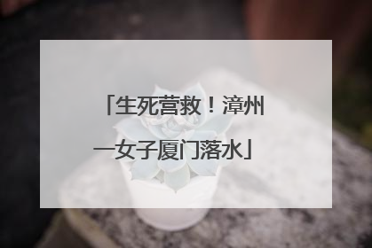 生死营救！漳州一女子厦门落水