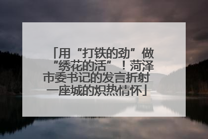 用“打铁的劲”做“绣花的活”！菏泽市委书记的发言折射一座城的炽热情怀