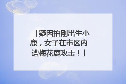 疑因拍刚出生小鹿，女子在市区内遭梅花鹿攻击！