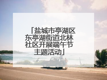 盐城市亭湖区东亭湖街道北林社区开展端午节主题活动