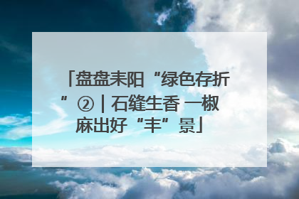 盘盘耒阳“绿色存折”②｜石缝生香 一椒麻出好“丰”景