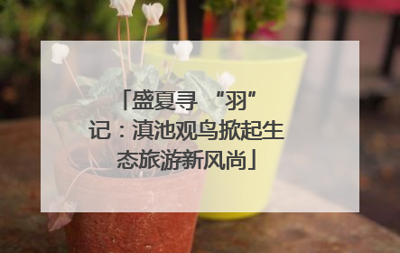 盛夏寻 “羽” 记：滇池观鸟掀起生态旅游新风尚
