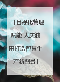目视化管理赋能 大庆油田打造智慧生产新图景
