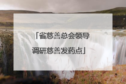 省慈善总会领导调研慈善发药点