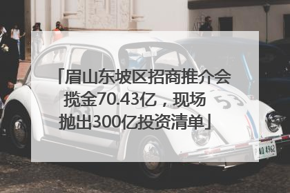 眉山东坡区招商推介会揽金70.43亿，现场抛出300亿投资清单