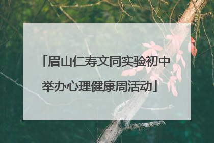 眉山仁寿文同实验初中举办心理健康周活动