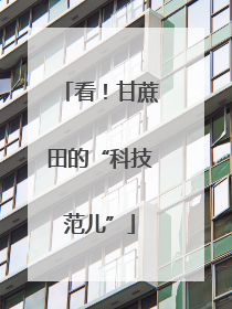 看！甘蔗田的“科技范儿”
