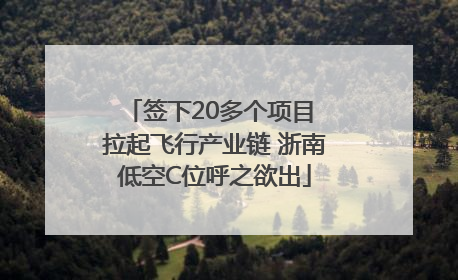 签下20多个项目 拉起飞行产业链 浙南低空C位呼之欲出