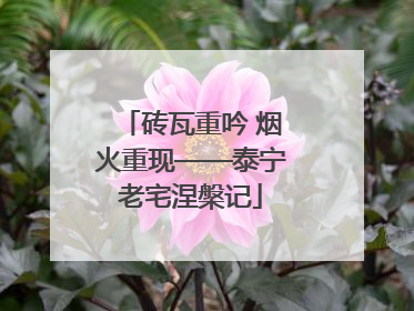 砖瓦重吟 烟火重现——泰宁老宅涅槃记
