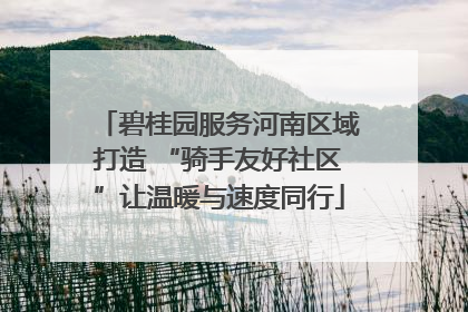 碧桂园服务河南区域打造 “骑手友好社区”让温暖与速度同行