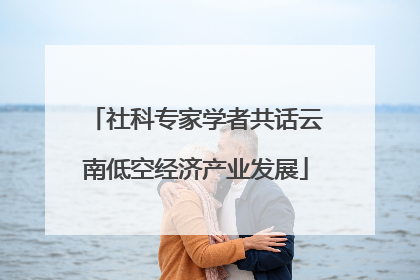 社科专家学者共话云南低空经济产业发展