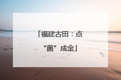 福建古田：点“菌”成金
