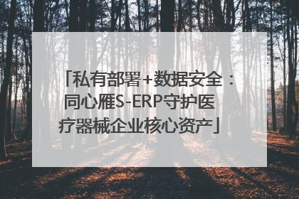 私有部署+数据安全：同心雁S-ERP守护医疗器械企业核心资产