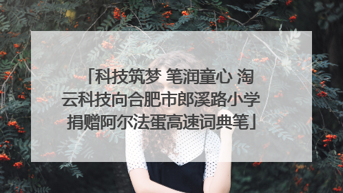 科技筑梦 笔润童心 淘云科技向合肥市郎溪路小学捐赠阿尔法蛋高速词典笔