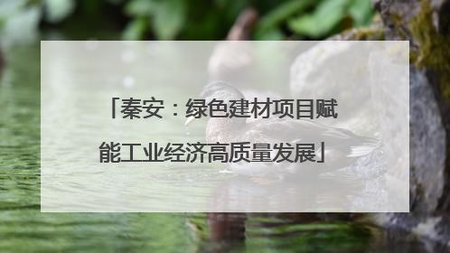 秦安：绿色建材项目赋能工业经济高质量发展