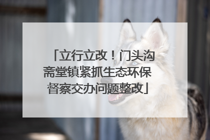 立行立改！门头沟斋堂镇紧抓生态环保督察交办问题整改