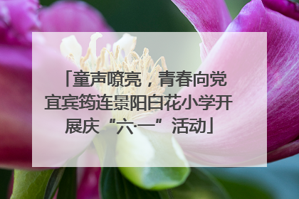 童声嘹亮，青春向党 宜宾筠连景阳白花小学开展庆“六·一”活动