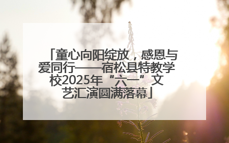 童心向阳绽放，感恩与爱同行——宿松县特教学校2025年“六一”文艺汇演圆满落幕