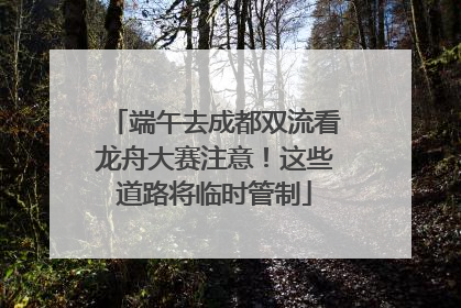 端午去成都双流看龙舟大赛注意！这些道路将临时管制