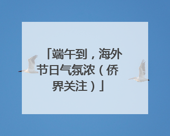 端午到，海外节日气氛浓（侨界关注）