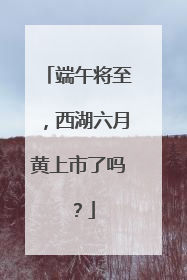 端午将至，西湖六月黄上市了吗？