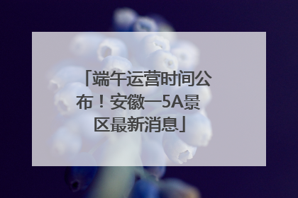 端午运营时间公布！安徽一5A景区最新消息