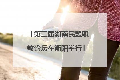 第三届湖南民盟职教论坛在衡阳举行