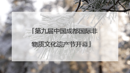 第九届中国成都国际非物质文化遗产节开幕